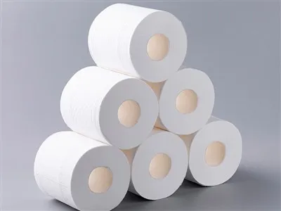 الاختبارات البيئية للورق والمنتجات الورقية